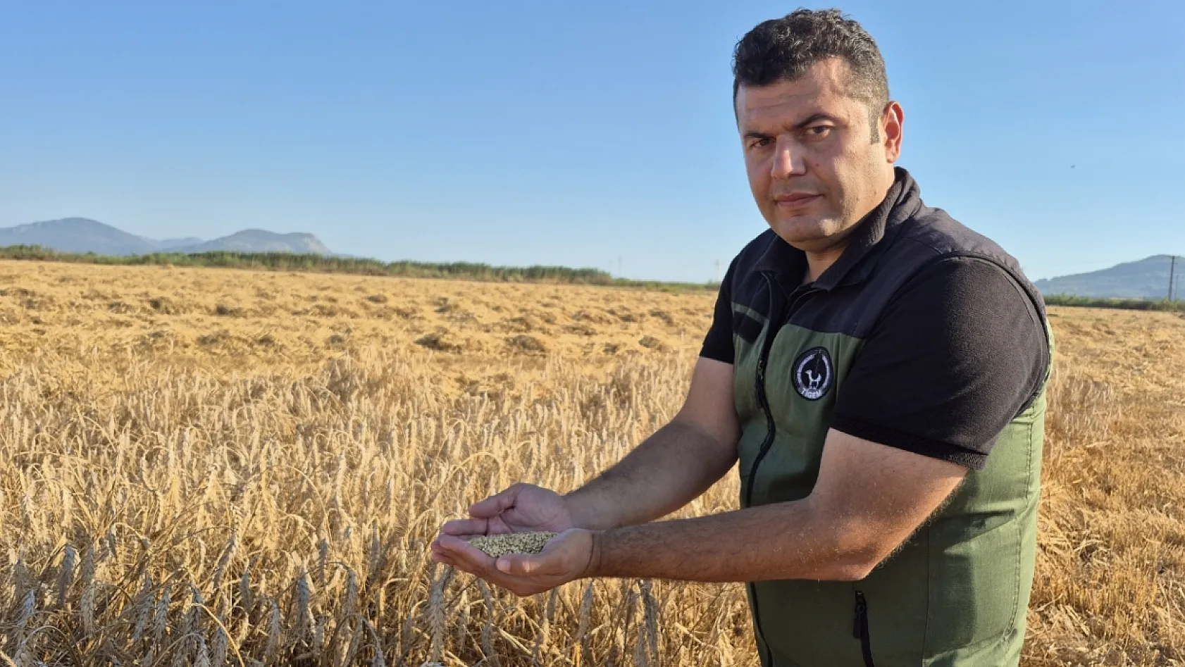 Dalaman TİGEM'de üretilen yerli buğday tohumları Türkiye'nin tarlalarına gidiyor