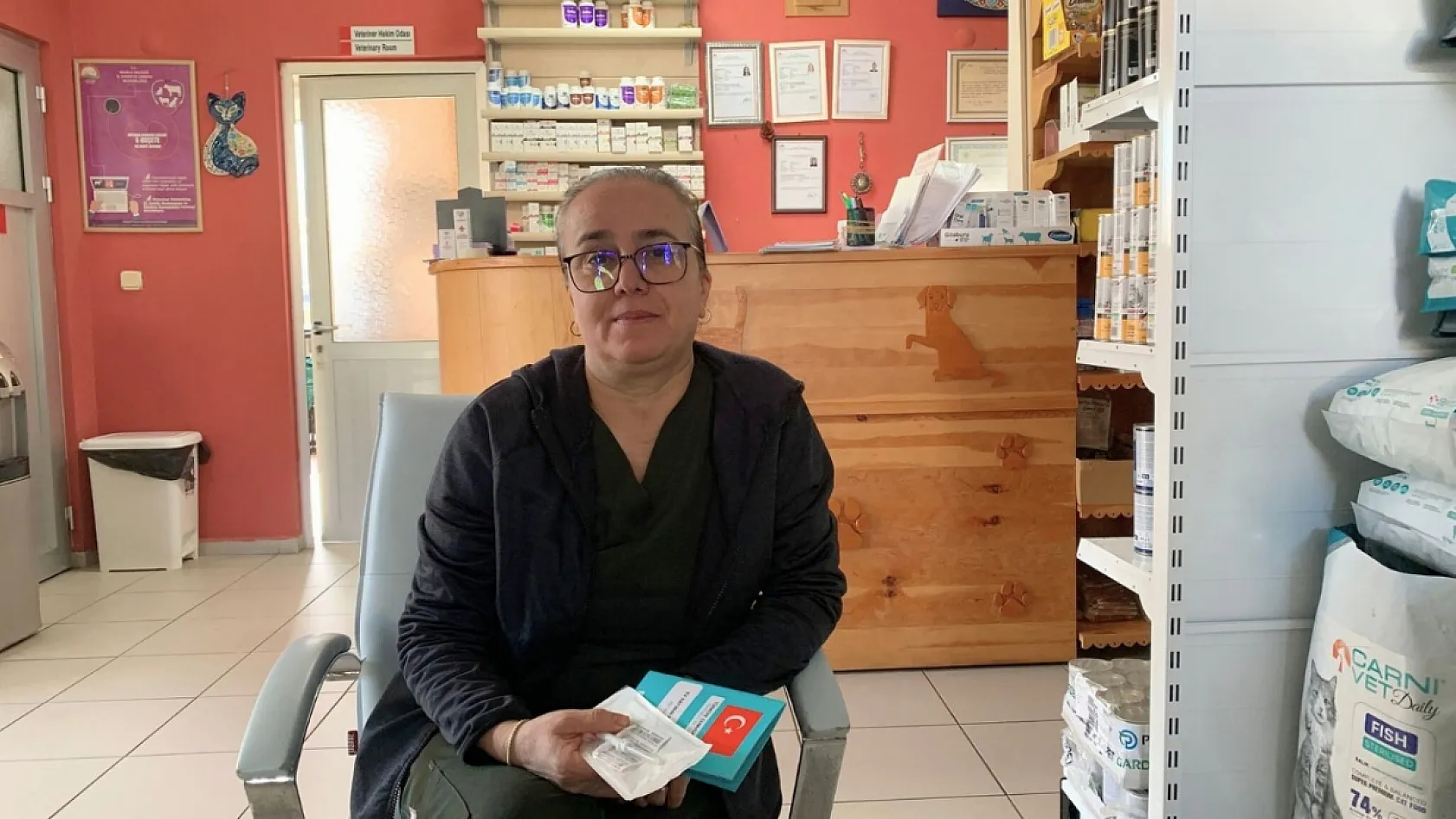 Fethiye'de veterinerden uyarı: Tasmasız ve çipsiz köpeğe ceza var