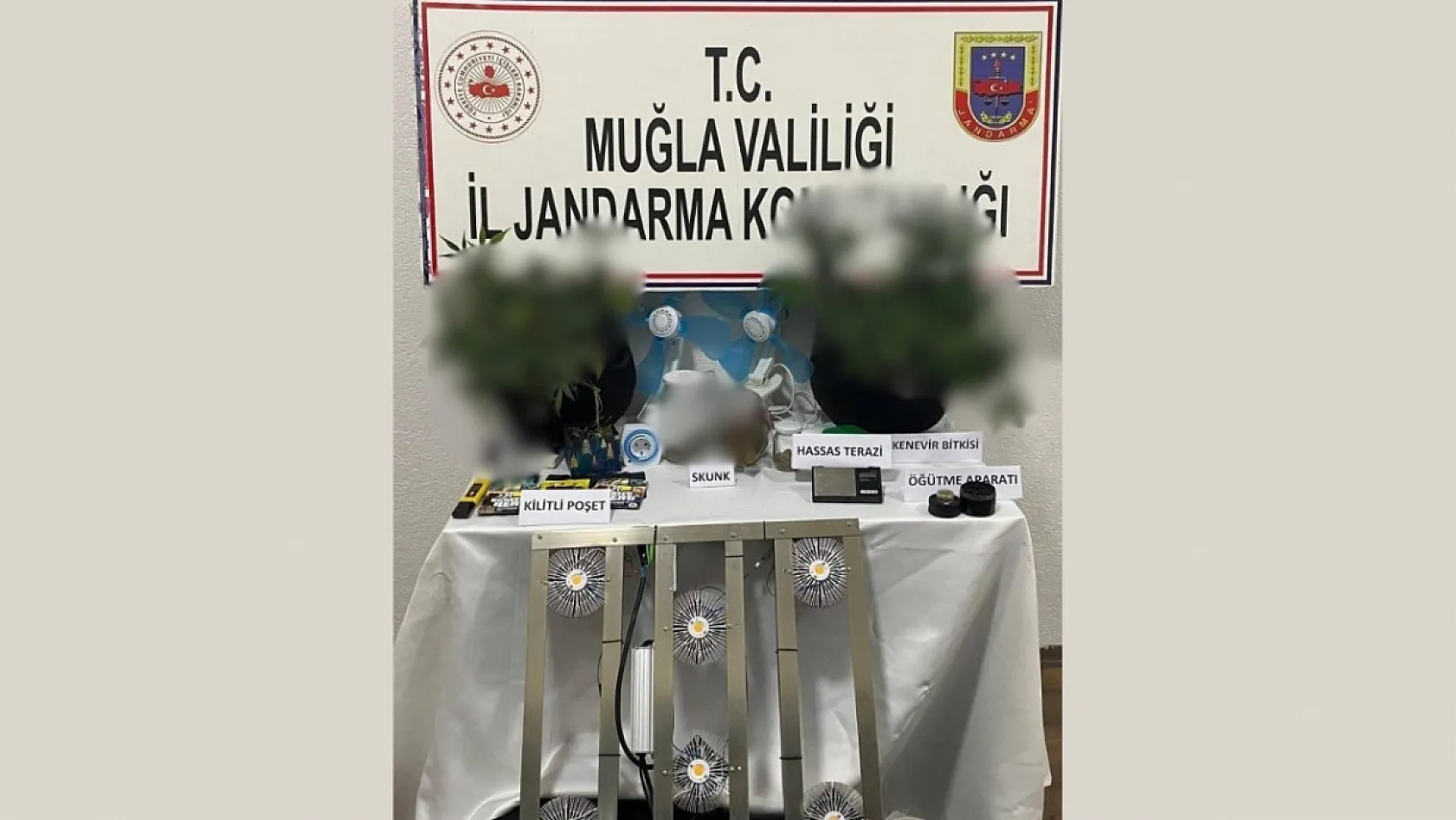 Muğla'da uyuşturucu operasyonu: 7 kişi tutuklandı