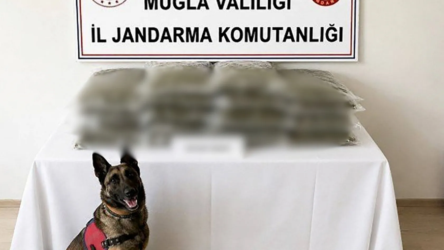 Muğla'da jandarmadan uyuşturucuya geçit yok