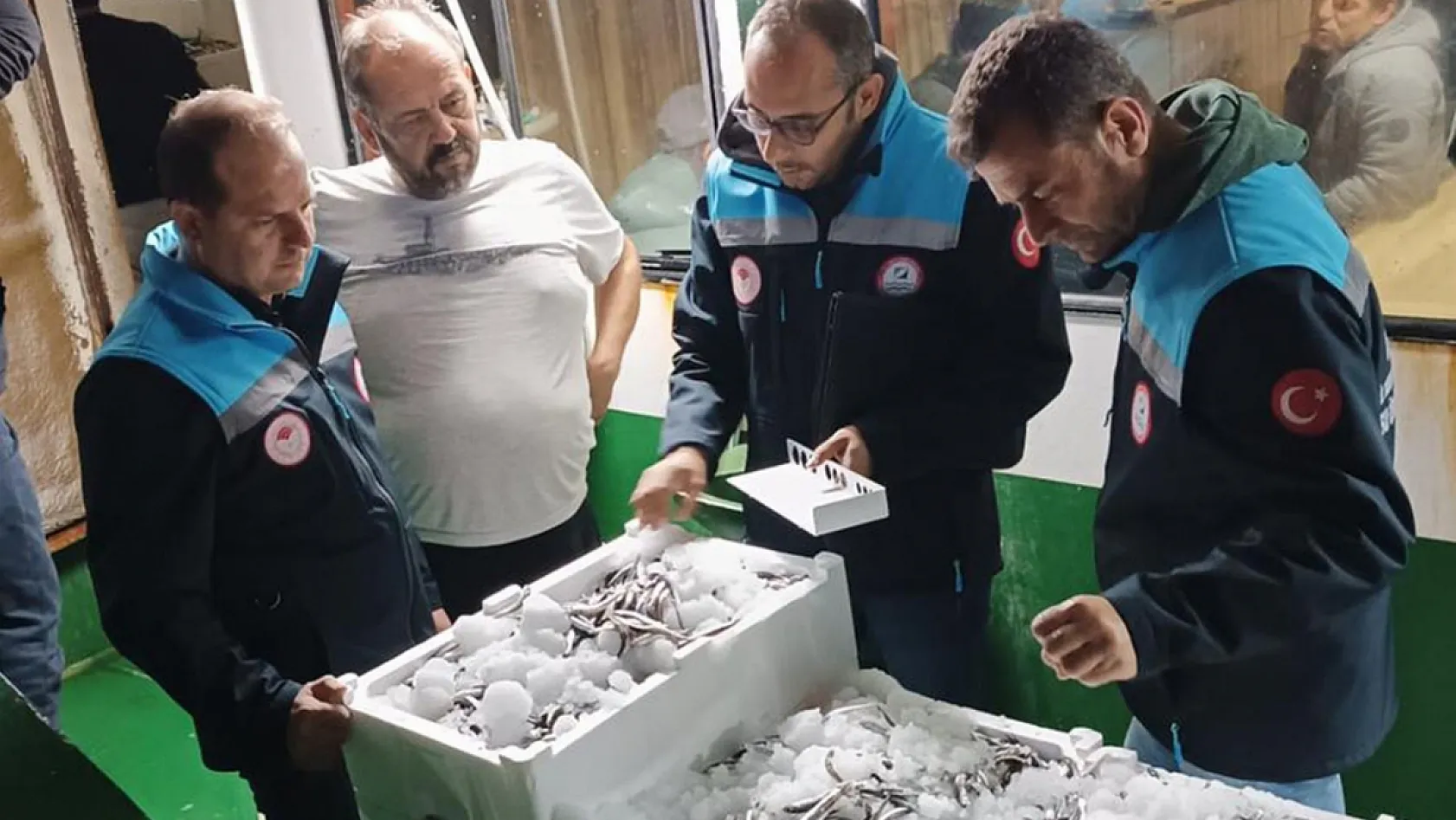 Reis 48 Kontrol Gemisi hamsi denetiminde