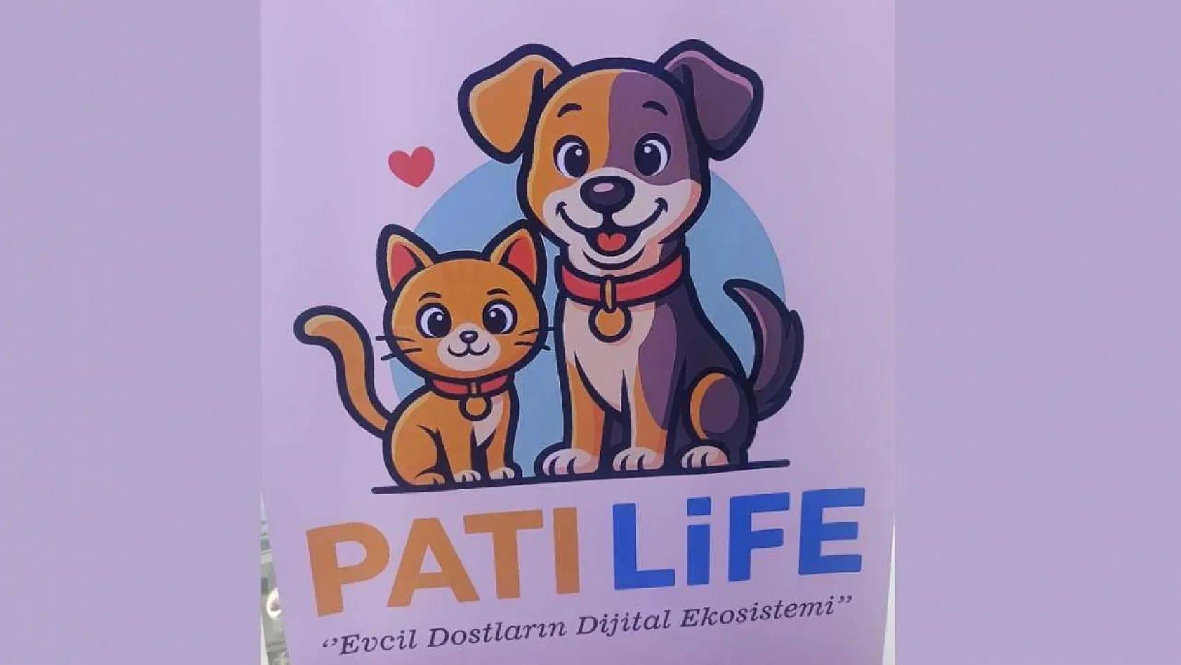 Fethiye'de sokak hayvanları için anlamlı proje: Pati Life