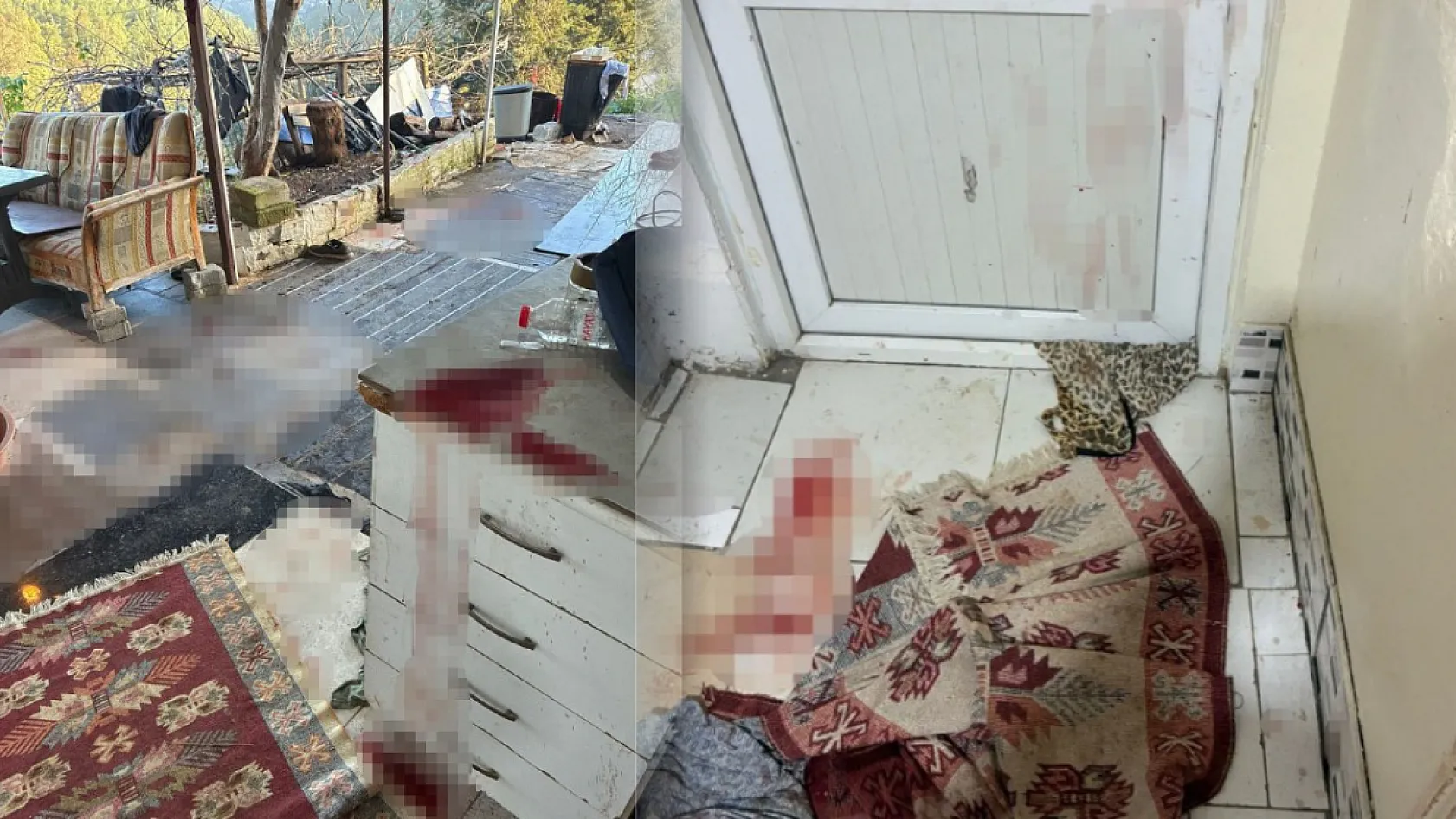 Almanya'dan cinayet için gelmiş: Ablasını öldürdü eniştesini ağır yaraladı