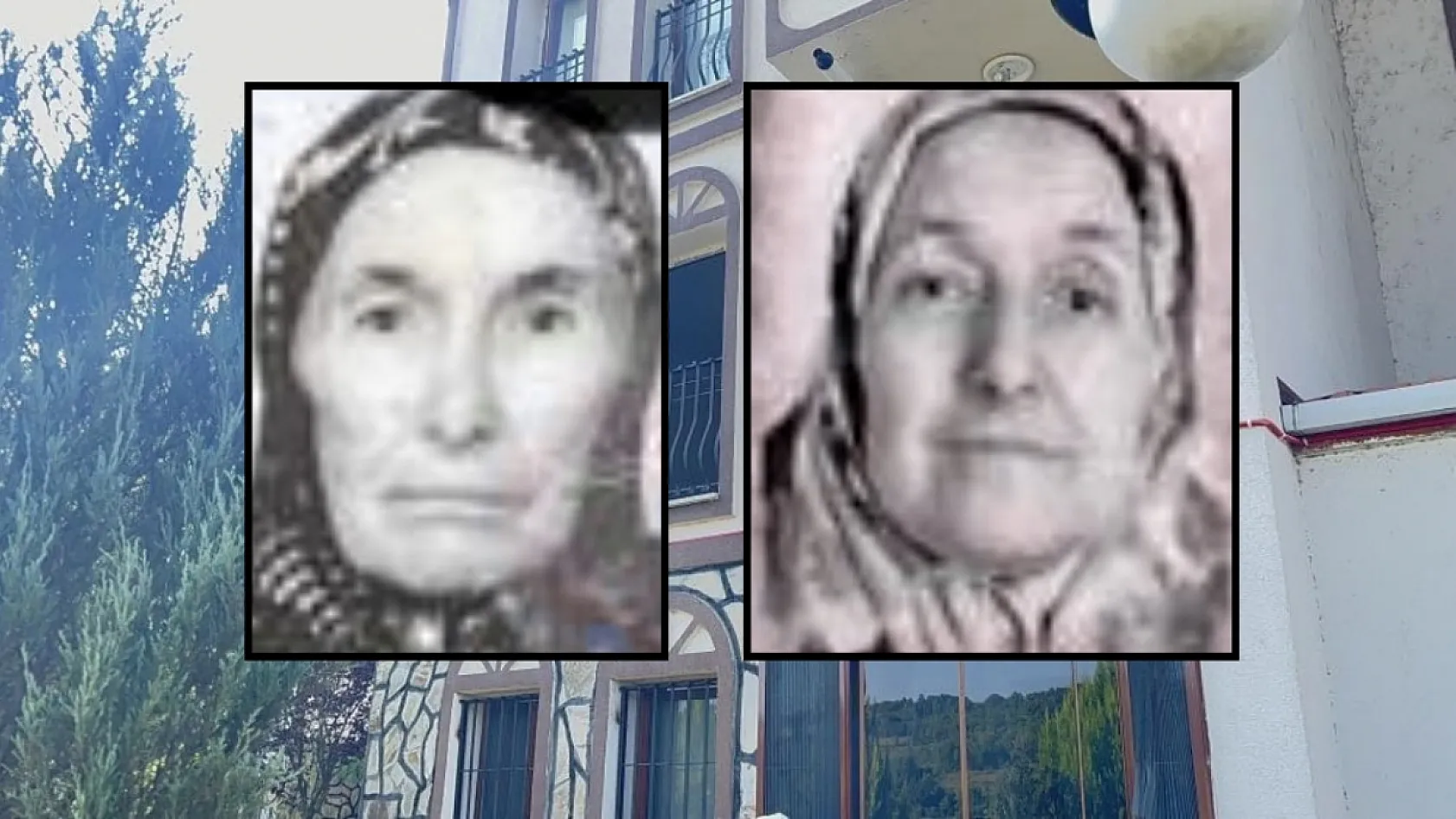 Annesi ve anneannesini baltayla parçalara ayıran sanığa iki kez müebbet