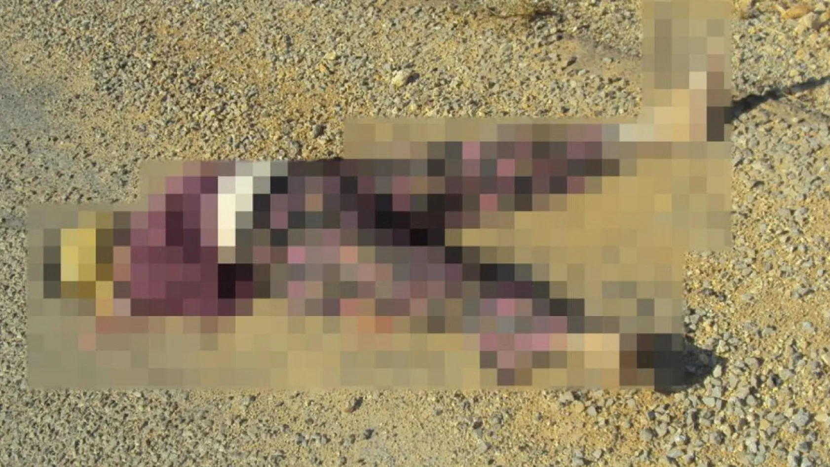 Antalya'da 15 yıllık cinayetin sırrı DNA eşleşmesi ile çözüldü