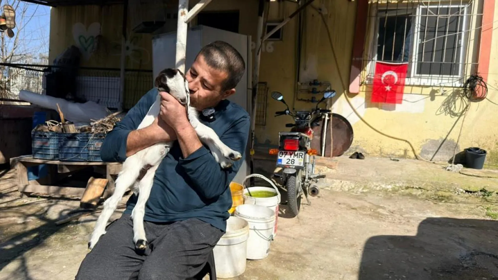 Antalya'da keçilerine olan sevgisini teknolojiyle birleştirdi, anbean onları izliyor