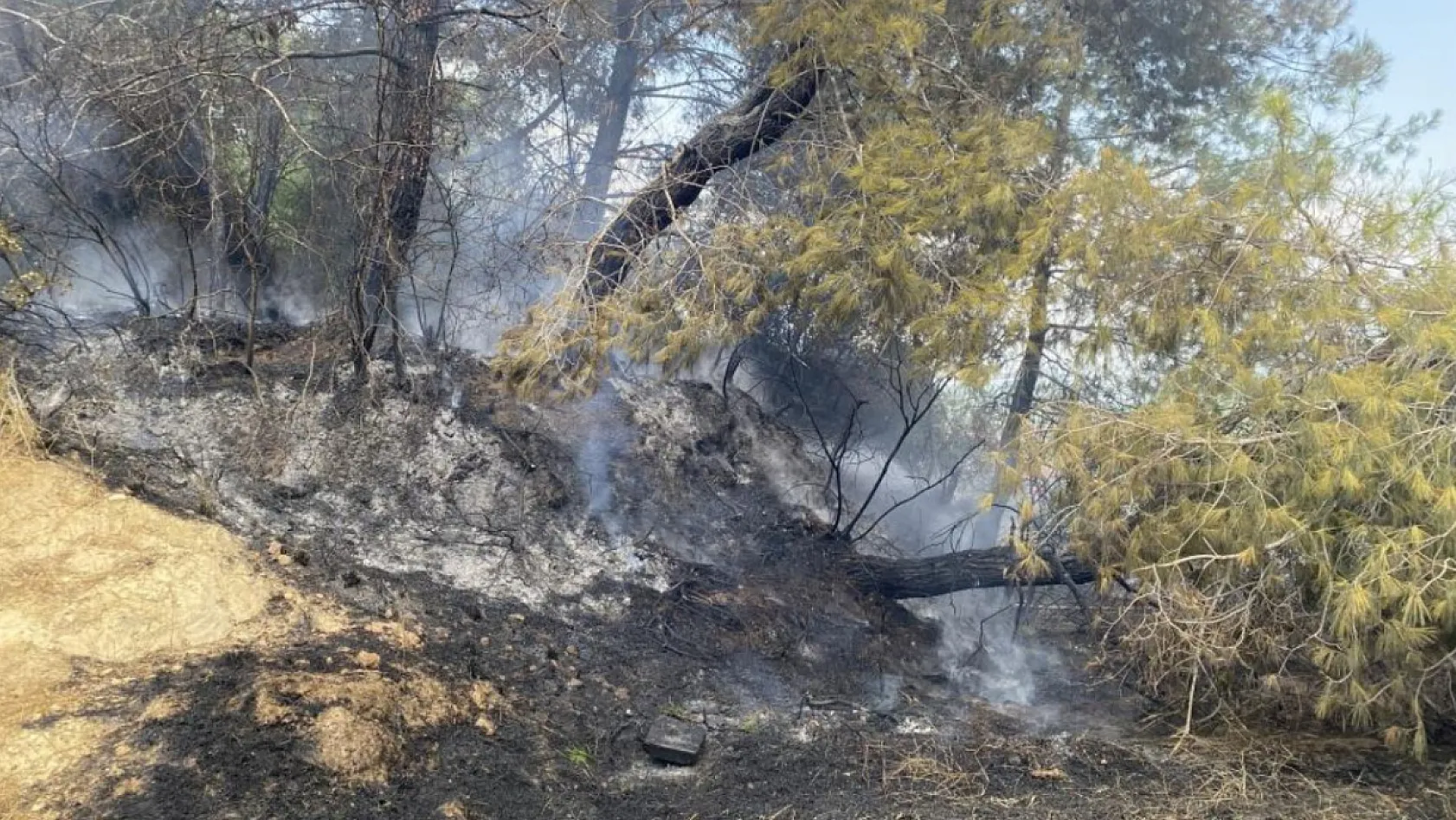Antalya'da ormanlık alandaki yangın büyümeden söndürüldü