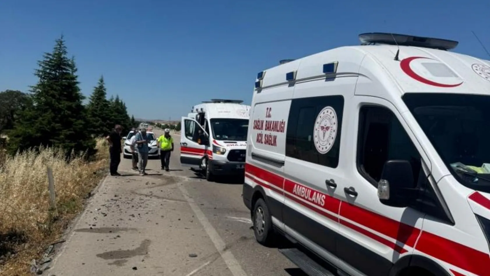 Arının neden olduğu kazada 1 kişi hayatını kaybetti, 4 kişi yaralandı