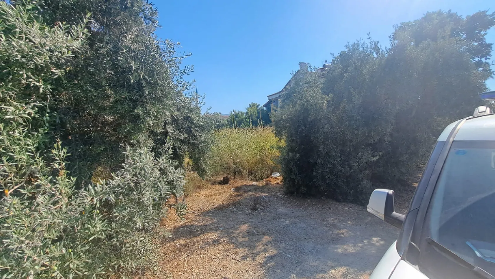 Fethiye Belediyesi'nden arsa sahiplerine temizlik uyarısı