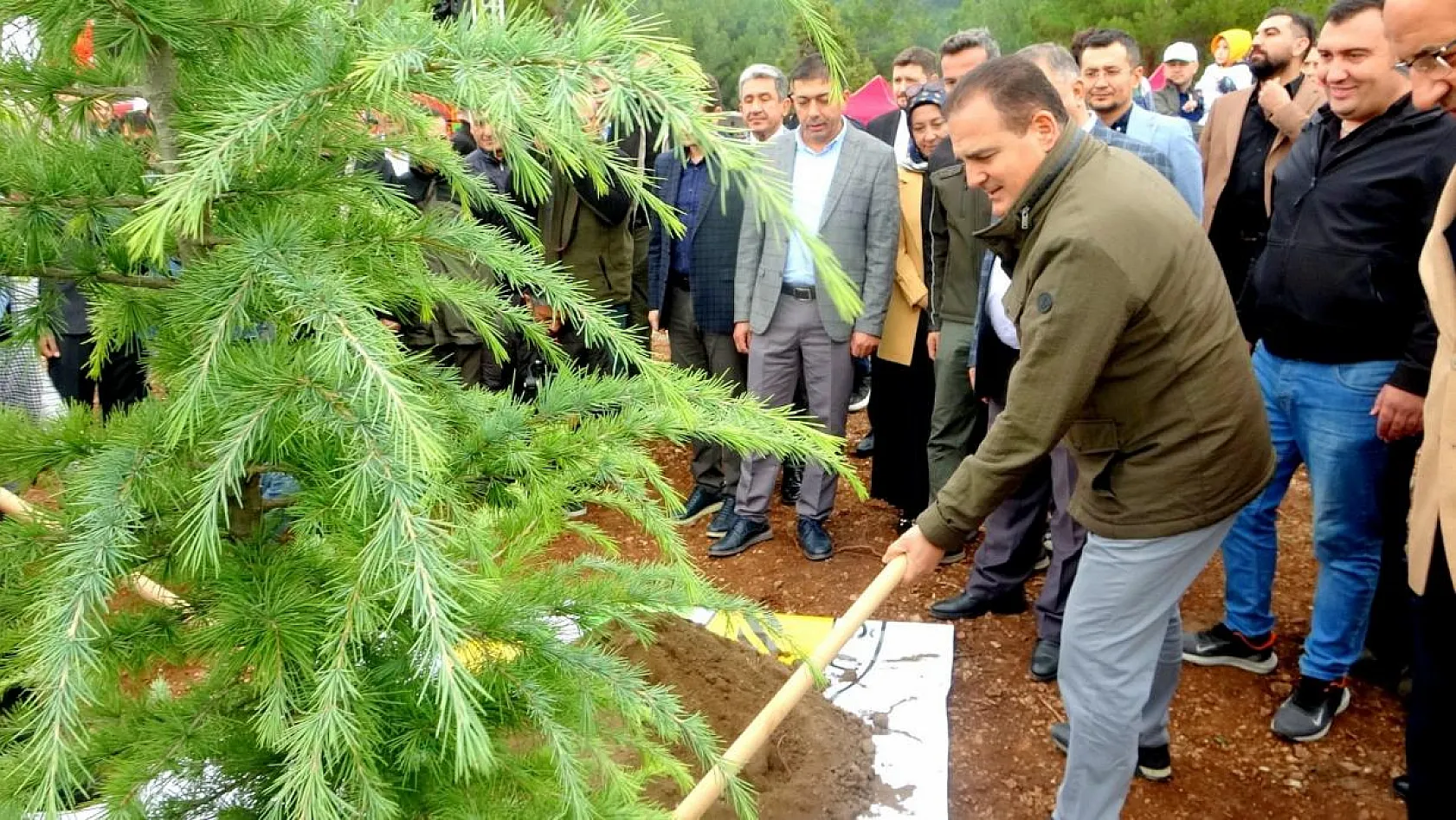 62 bin 236 fidan dikildi