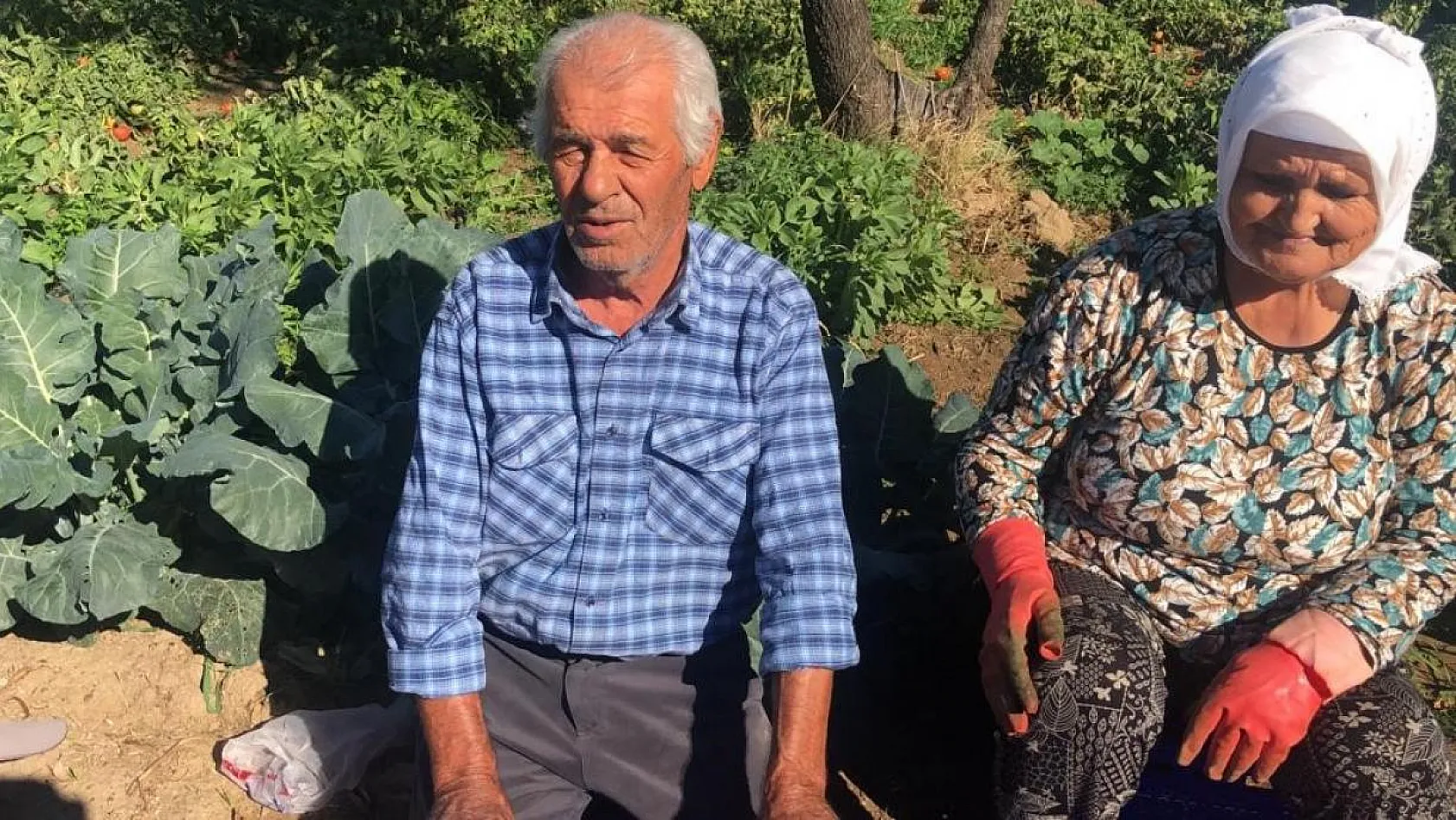 Üretici İlhan: 'Düşen fiyatlar masrafımızı anca karşılıyor'