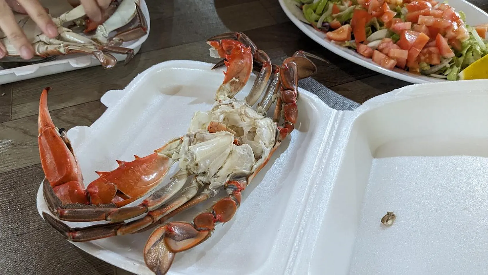 Akdeniz Ülkelerinden Gelen Balıkçılar İstilacı Türleri Tartıştı