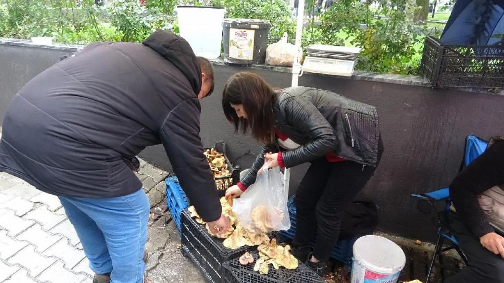 Çıntar'ın fiyatı görenleri şaşırttı!