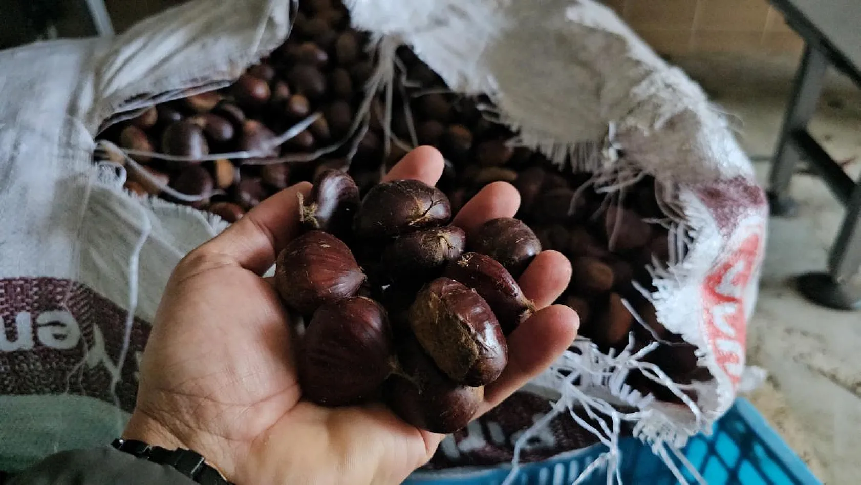 Kestane şekeri, Uzak Doğu sofralarını süslüyor