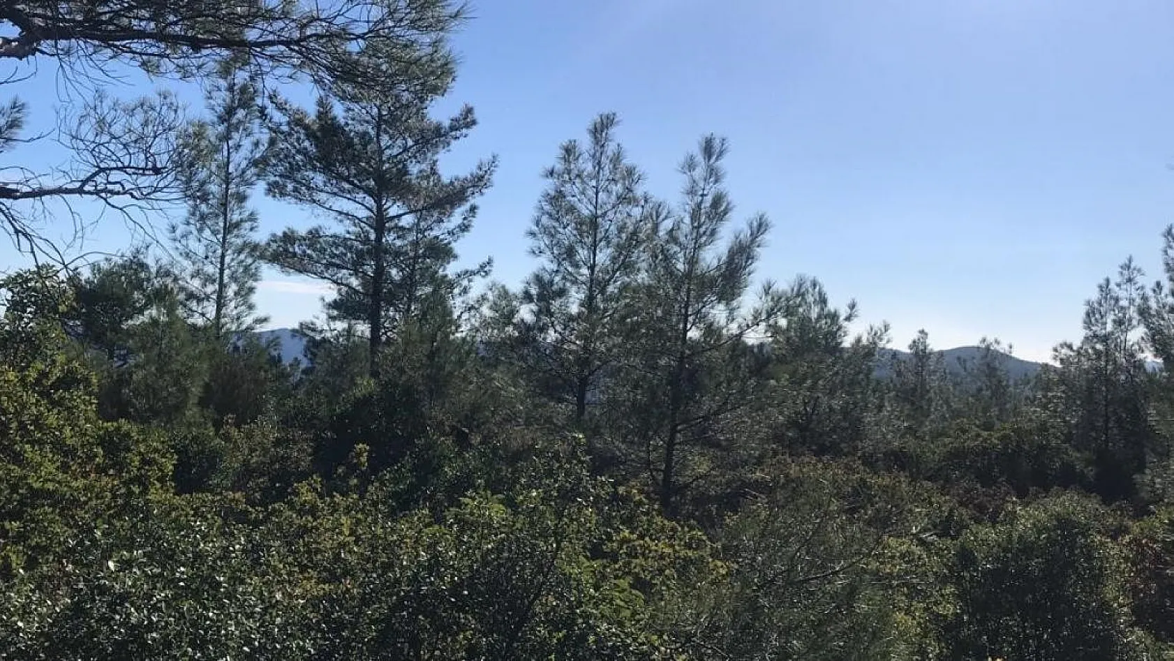 Çıntar toplarken dağda kaybolan adamdan bir iz bulundu