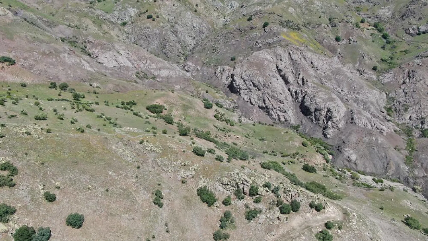 Kan donduran cinayetin dehşet veren detayları ortaya çıktı