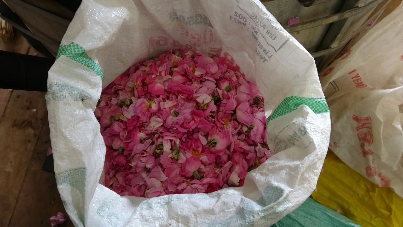 4 Tondan Sadece 1 Litre Çıkıyor, Litresi 400 Bin TL'yi Buluyor