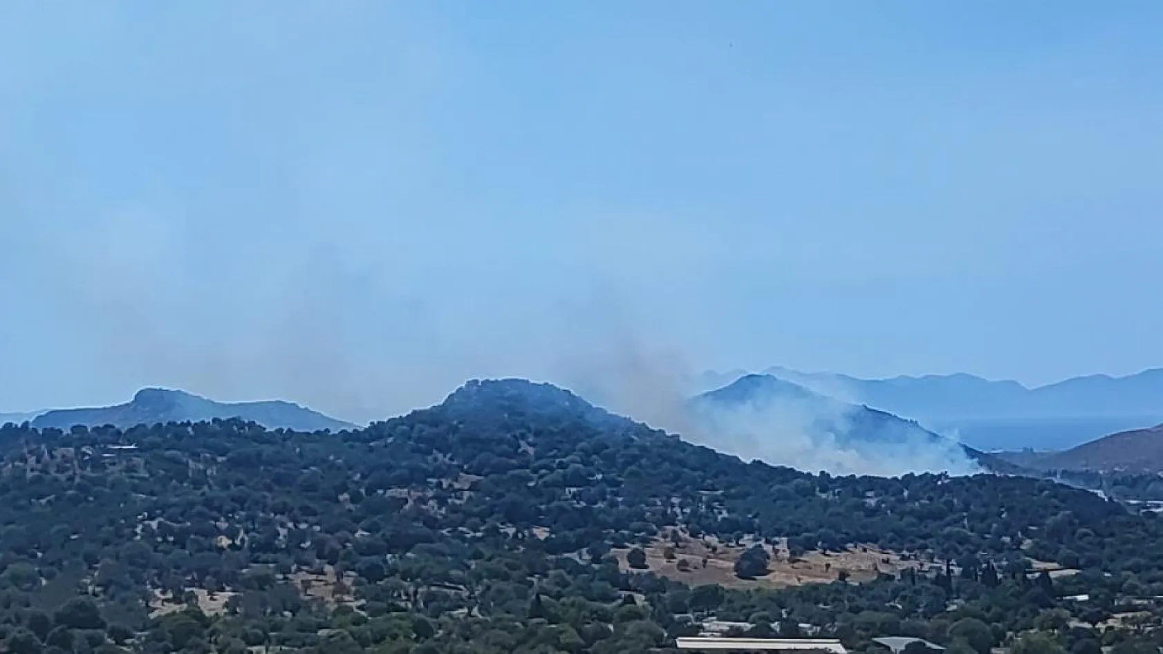 Bodrum'da makilik alanda yangın