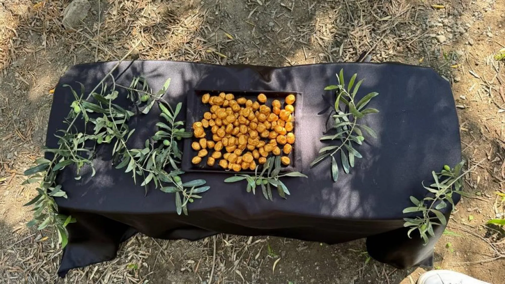 Bu da oldu... Altın kaplamalı zeytin yok satıyor