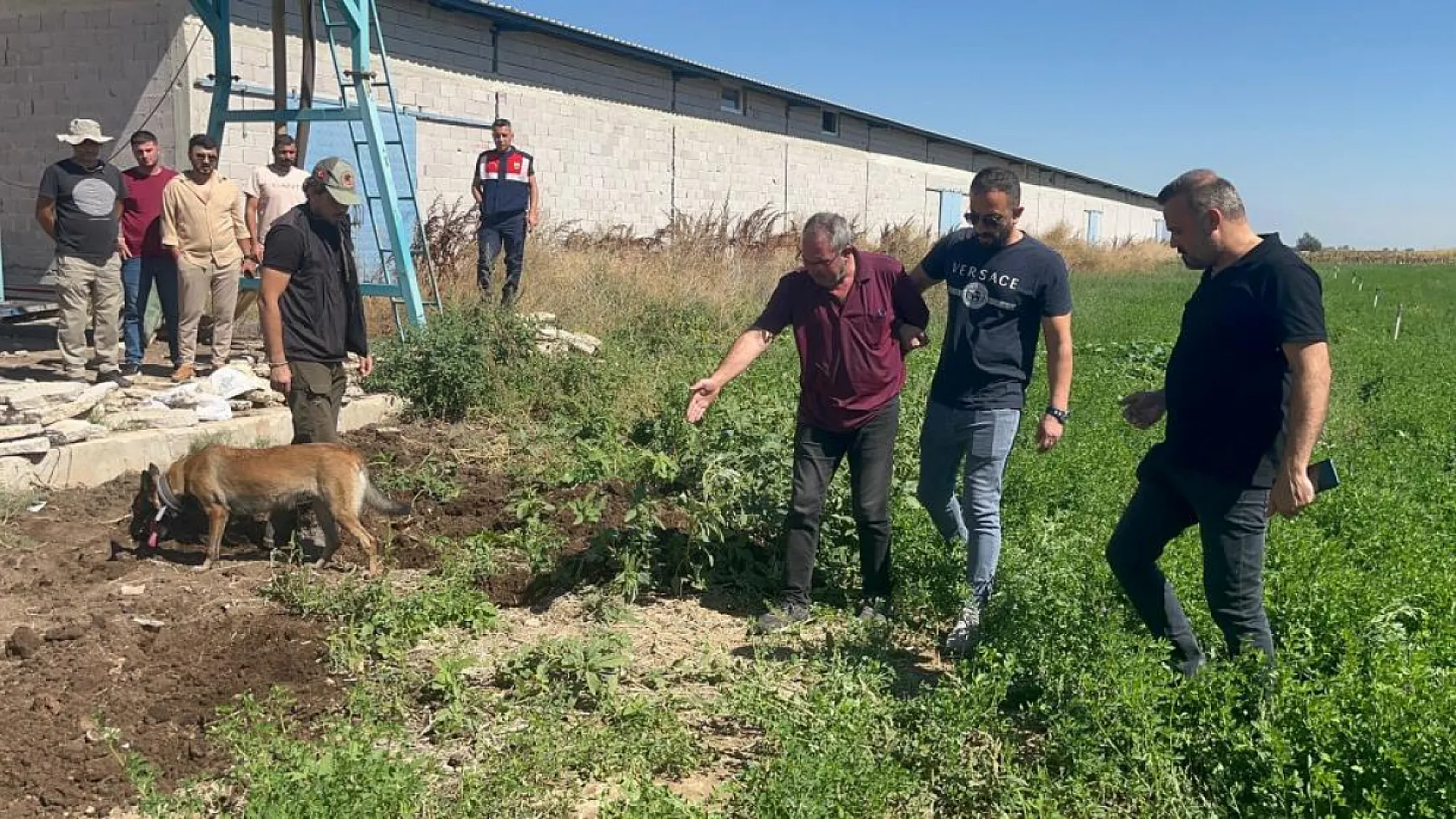 Dayısını öldürüp gömdü sonra mezarı başında ağladı