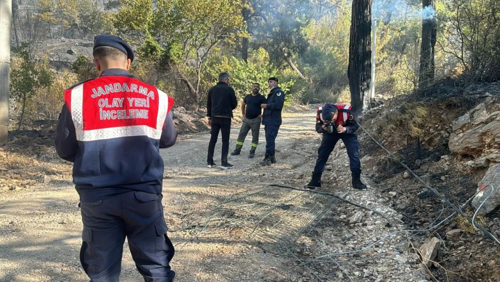 Asker ve itfaiye sahaya indi, yangının çıkış noktası ve sebebi araştırılıyor