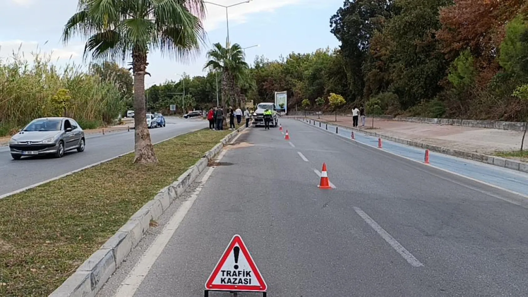 Kontrolden çıkan otomobil palmiyeye çarptı:1 yaralı