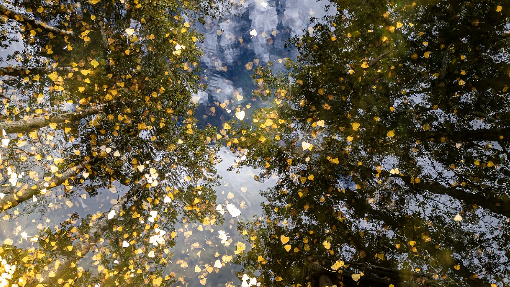 İç Anadolu'nun gizli kalmış cenneti renkleriyle görenleri mest ediyor