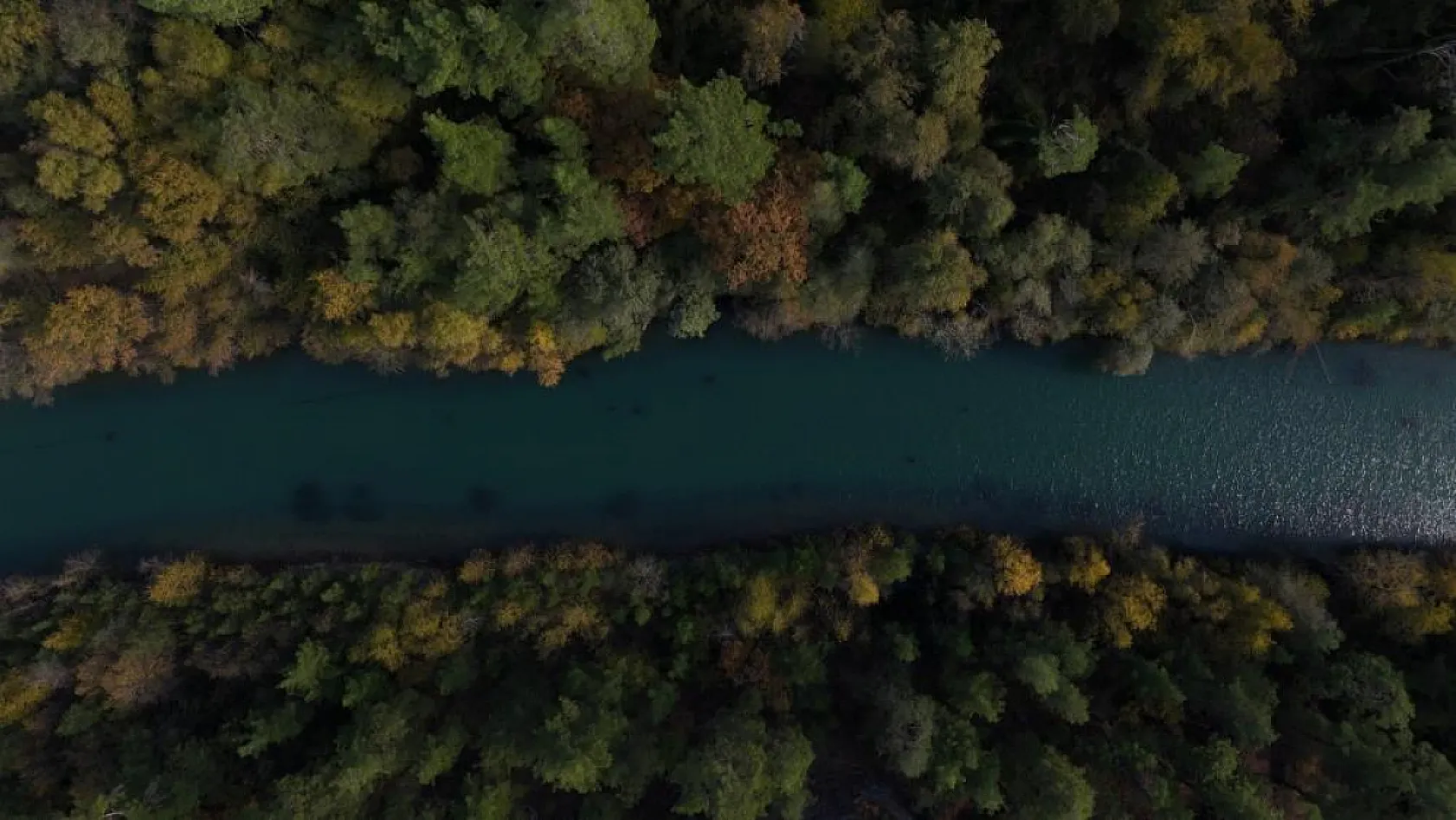 Dünyada ve Türkiye'de sadece Muğla ve Burdur'da bulunuyor, eşsiz güzelliği ile göz kamaştırıyor