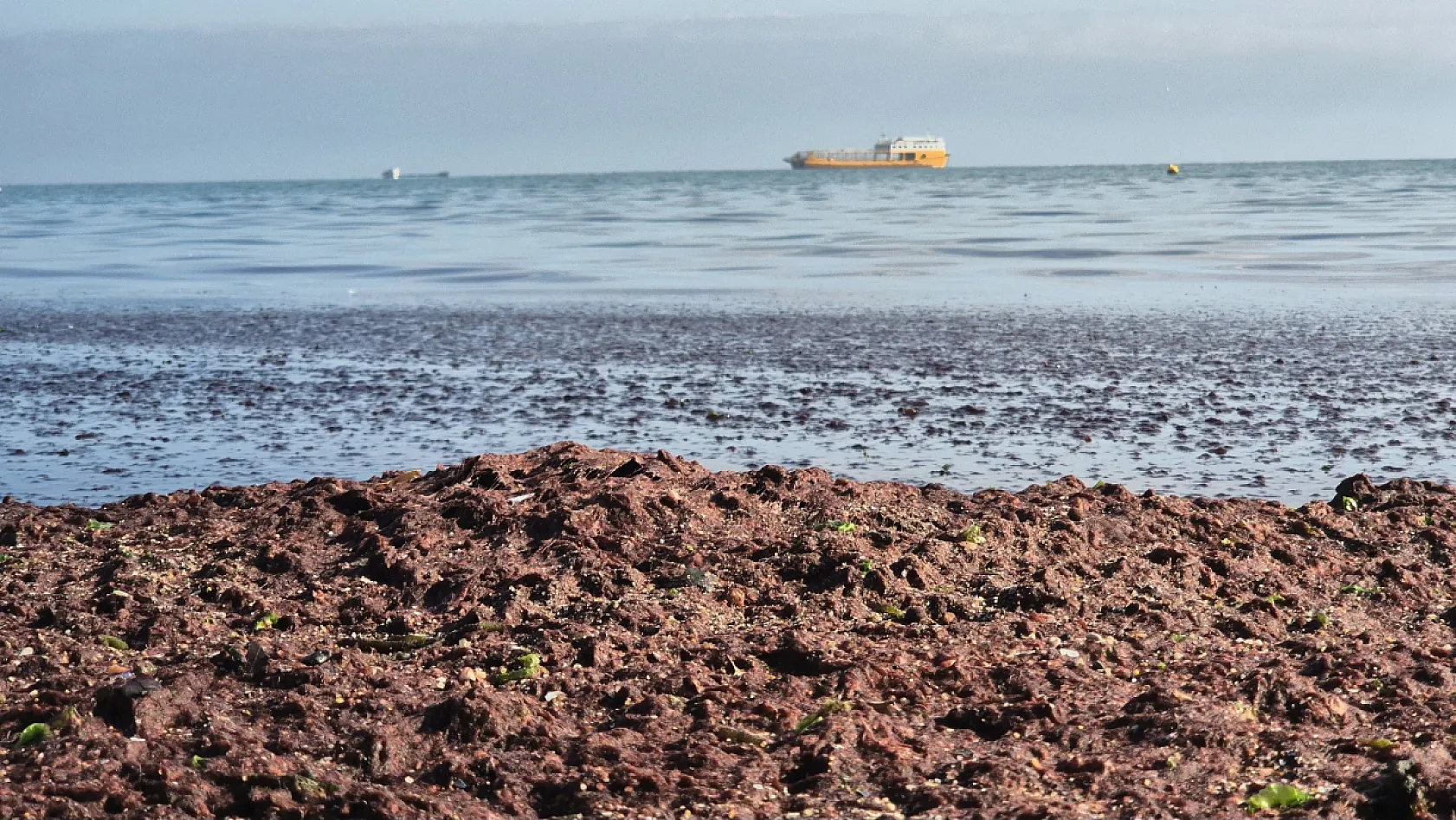 Denizde kızıl tablo, görenler hayrete düştü!