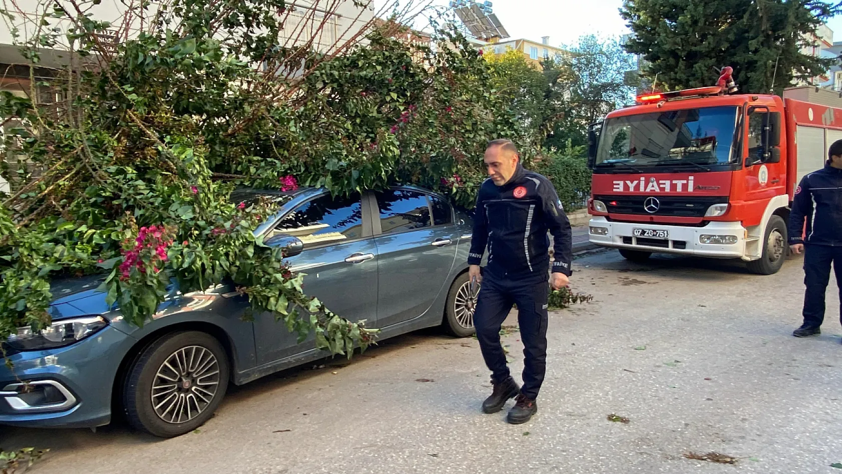 Fırtınaya dayanamayan ağaç park halindeki aracın üzerine devrildi