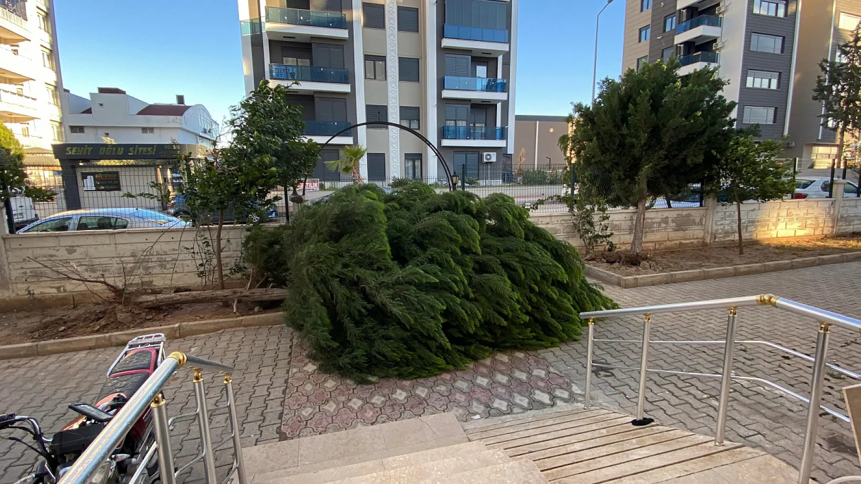 Fırtınaya dayanamayan ağaç park halindeki aracın üzerine devrildi