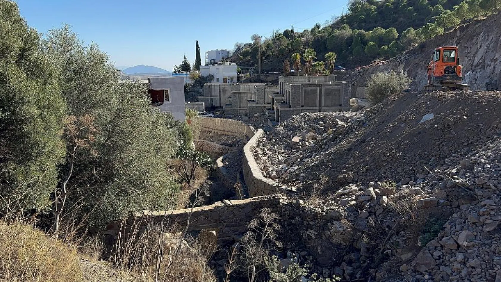 Ünlü sanatçı Suavi'ye Bodrum'da ağaç katliamı cezası