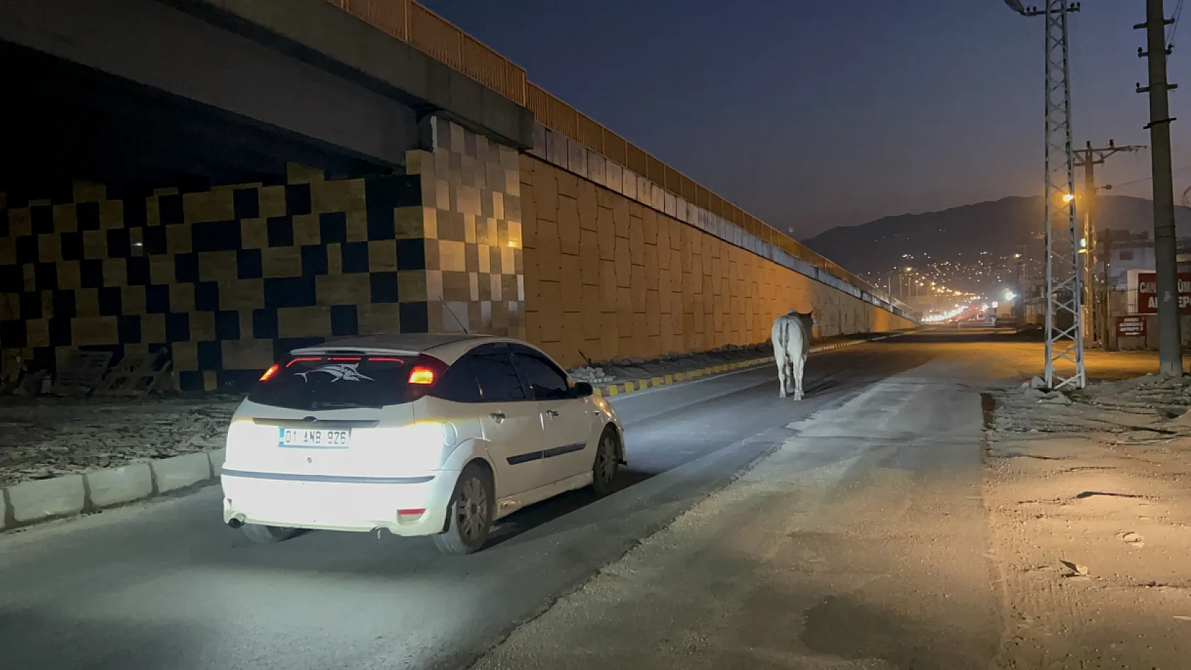Tırdan kaçıp şehir turuna çıktı