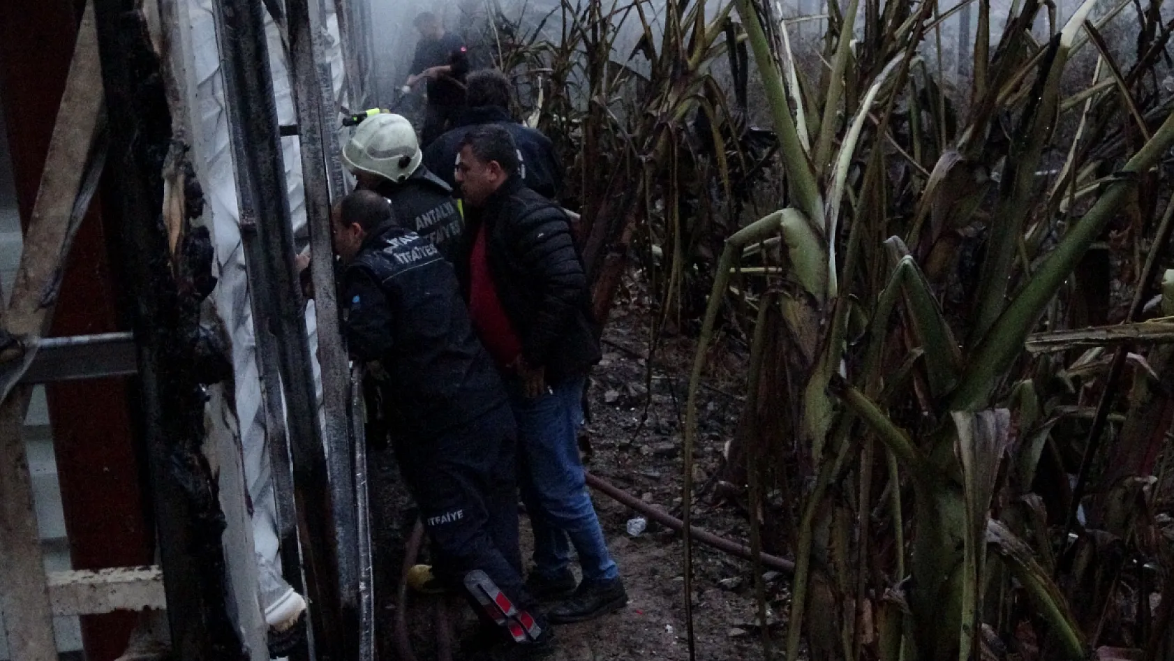 Alanya'da mobilya deposu yandı, alevler muz ve çiçek serasına sıçradı