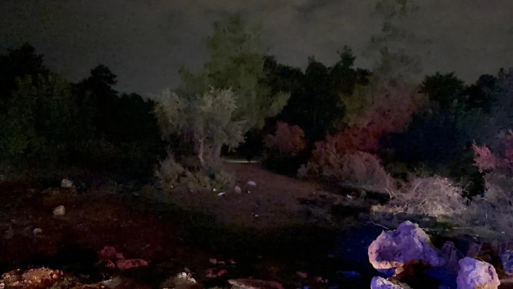 Silahla vuruldu, hastaneye ulaşmak için ormanda iki saat yürüdü