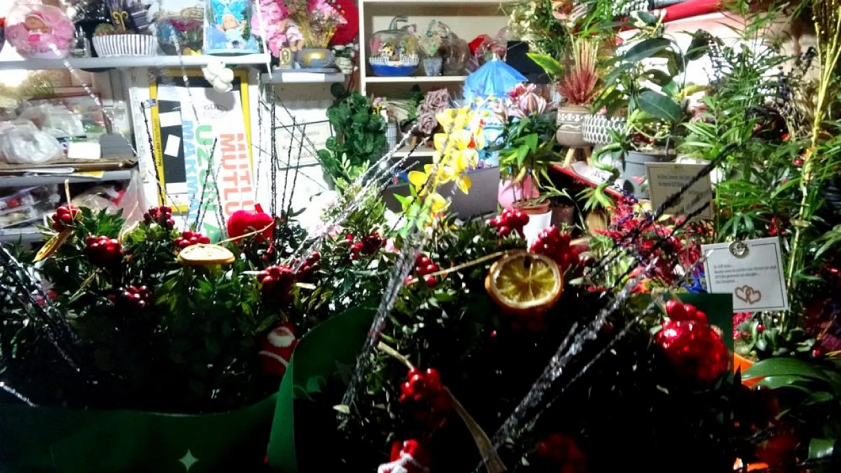 Yılbaşının yaklaşmasıyla kokina çiçeğine Muğla'da ilgi arttı