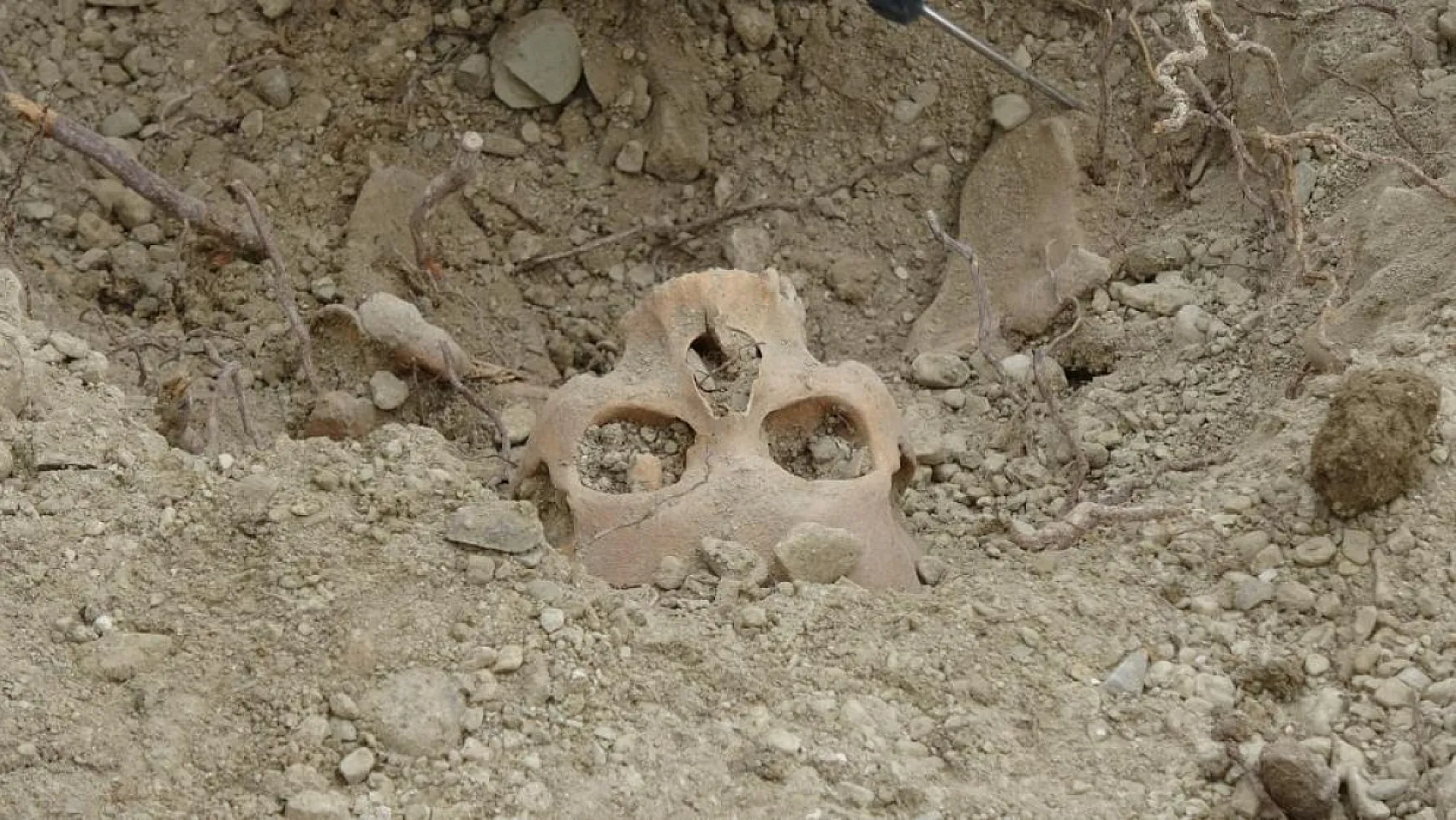 Öğretmenevi bahçesinden çıkan kemikler için antropologlar sahada çalışma başlattı