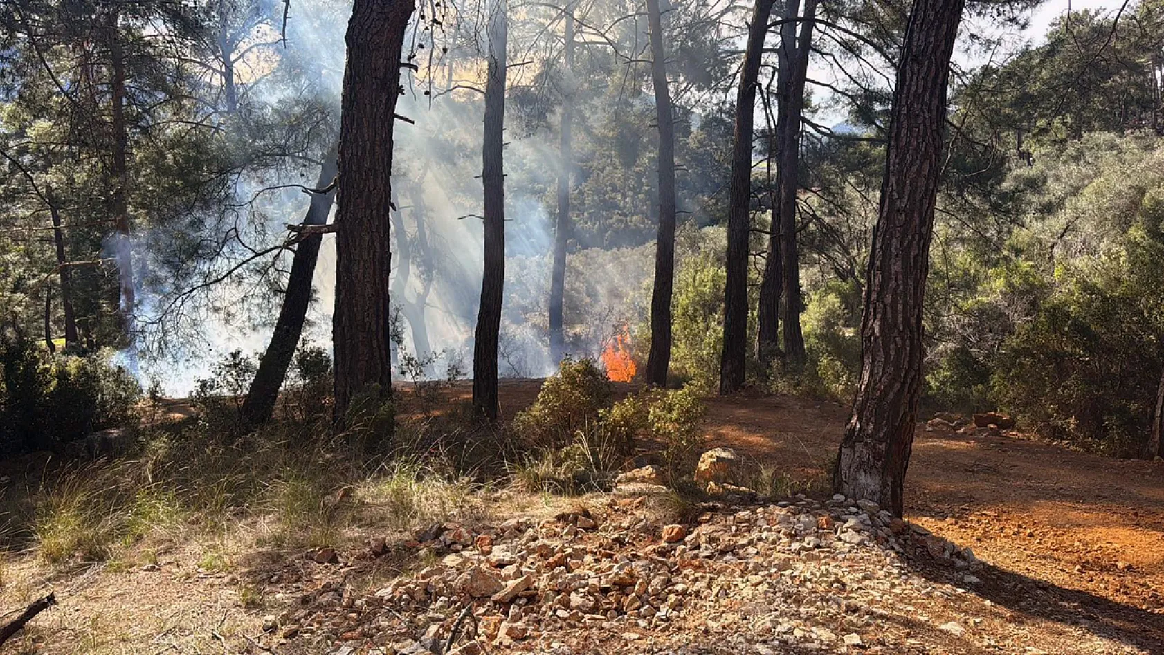Fethiye İncirköy'de Orman Yangını