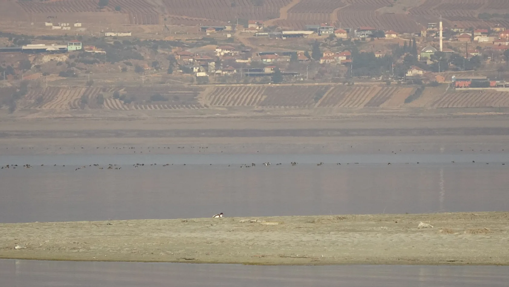 Göller Yöresi'ndeki su kuşu sayımları ekosistem değişimlerini aydınlatıyor