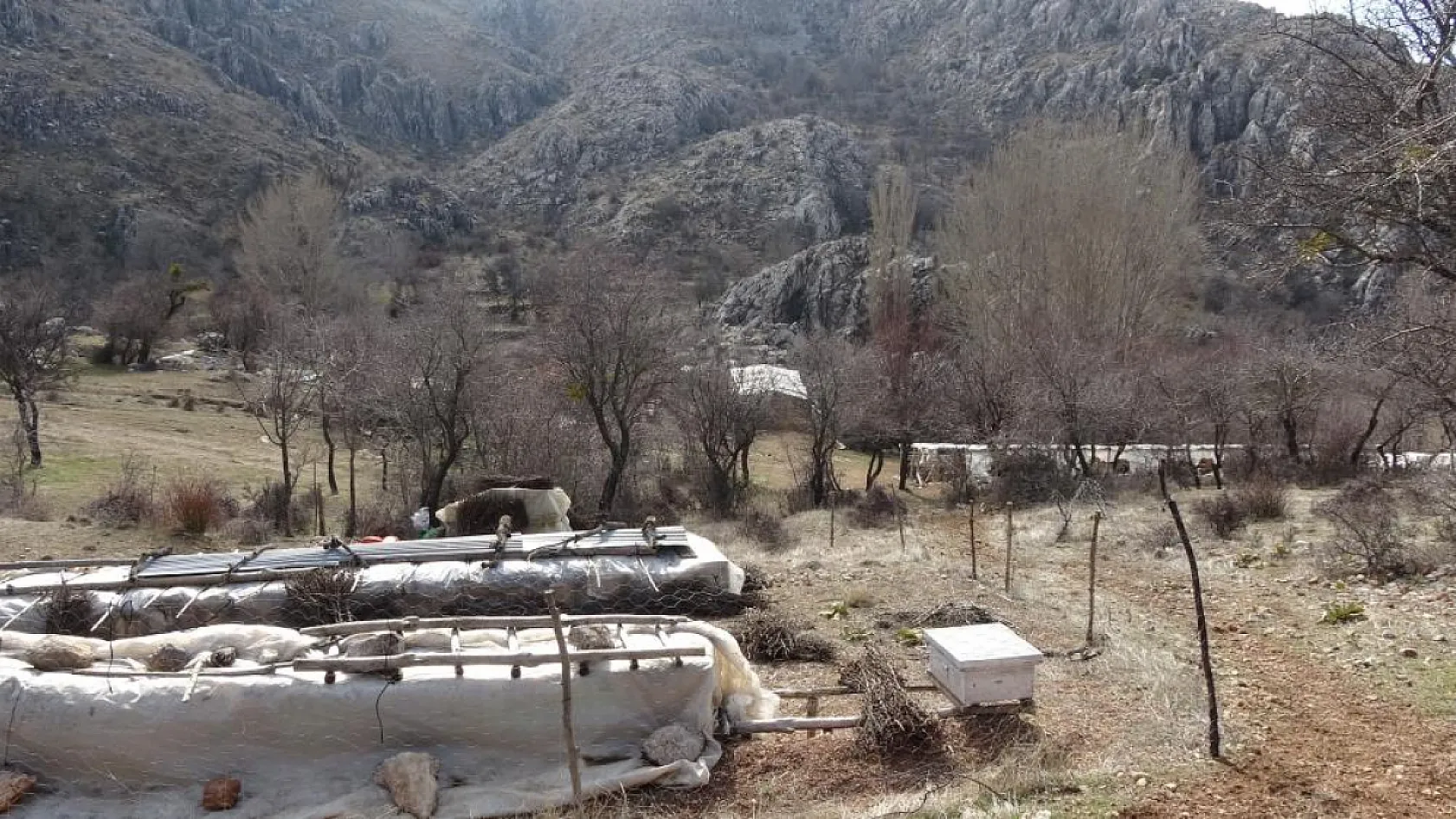 Kardeş cinayetinde iddianame kabul edildi: 3 kardeşe ağırlaştırılmış müebbet ceza talebi