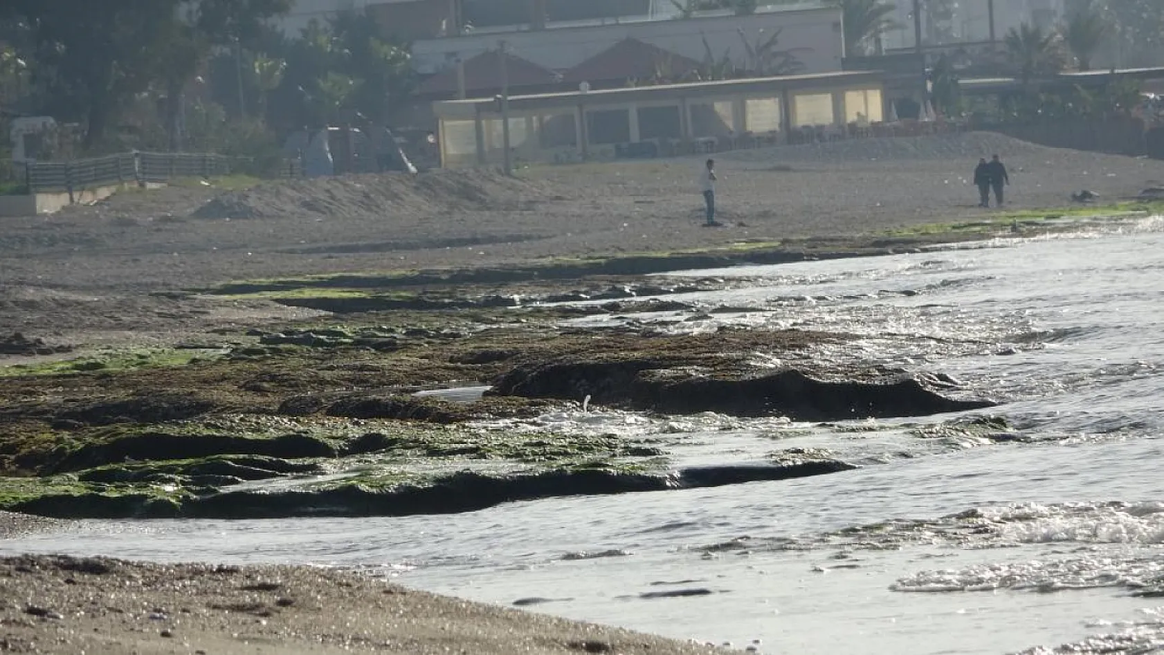 Alanya'da deniz 8 metre çekildi! Deprem habercisi mi
