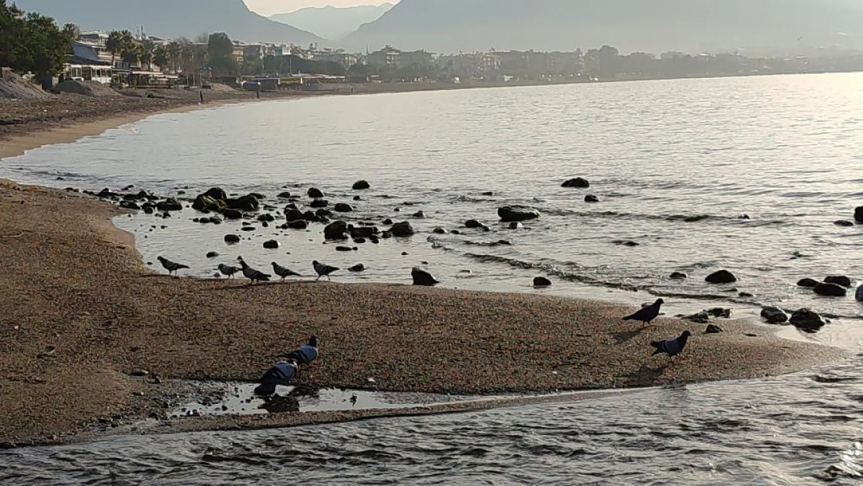 Alanya'da deniz 8 metre çekildi! Deprem habercisi mi