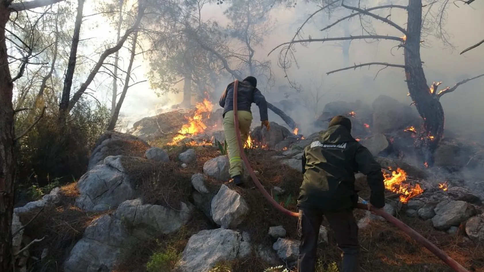 Antalya'da kopan yüksek gerilim hattı orman yangınına neden oldu