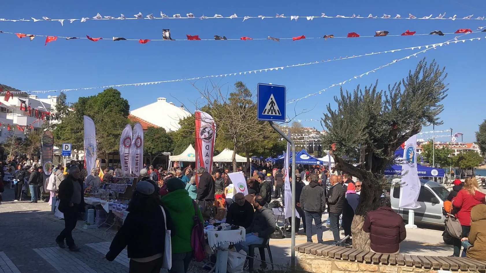 Geleneksel Datça Badem Çiçeği Festivali başladı