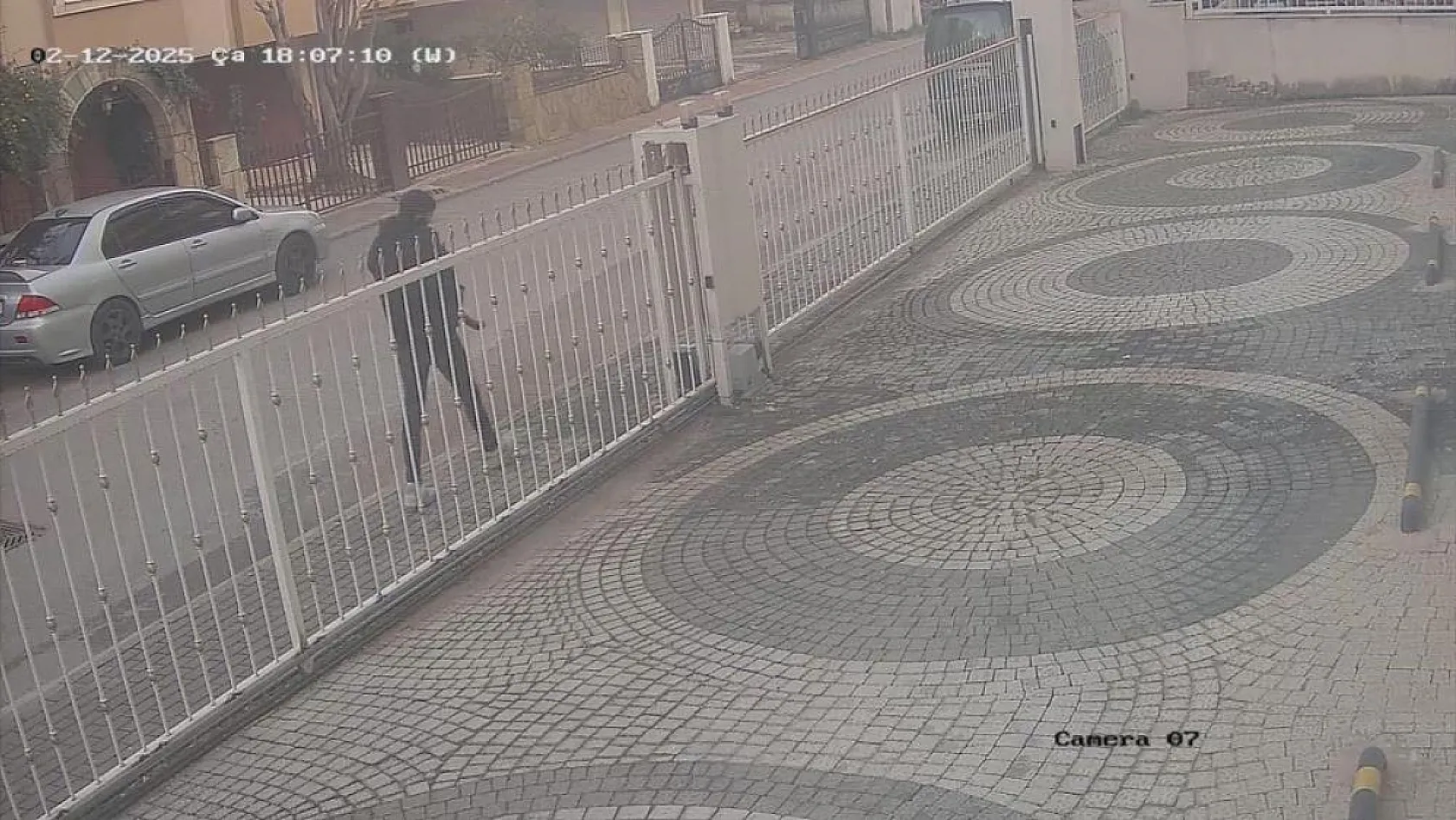 Cins kedisi kaybolan kadın, güvenlik kamera kayıtlarını izleyince şoke oldu