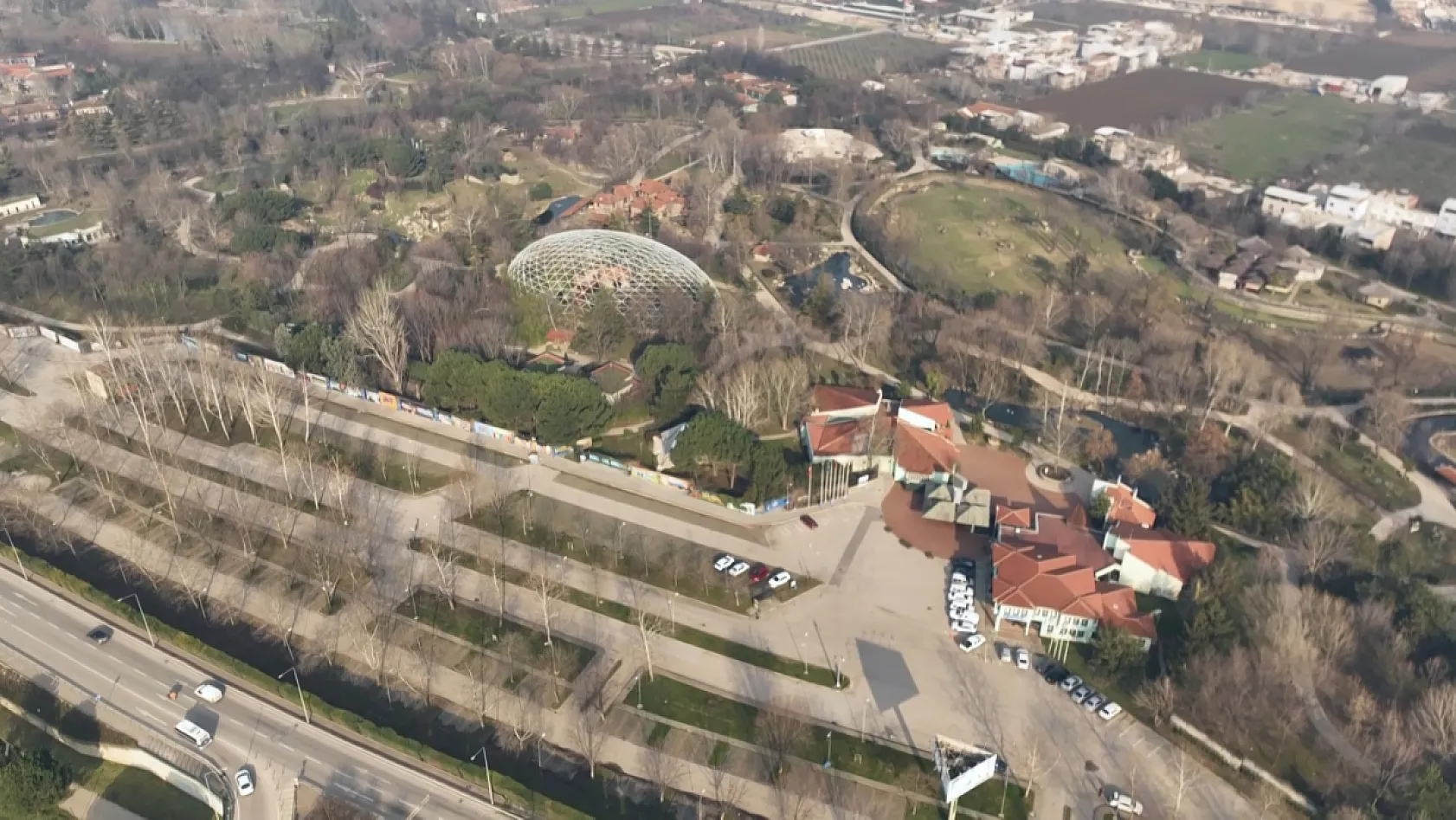 Uykusu kaçan ayılar, 9 kiloluk levrekleri afiyetle midelerine indirdi