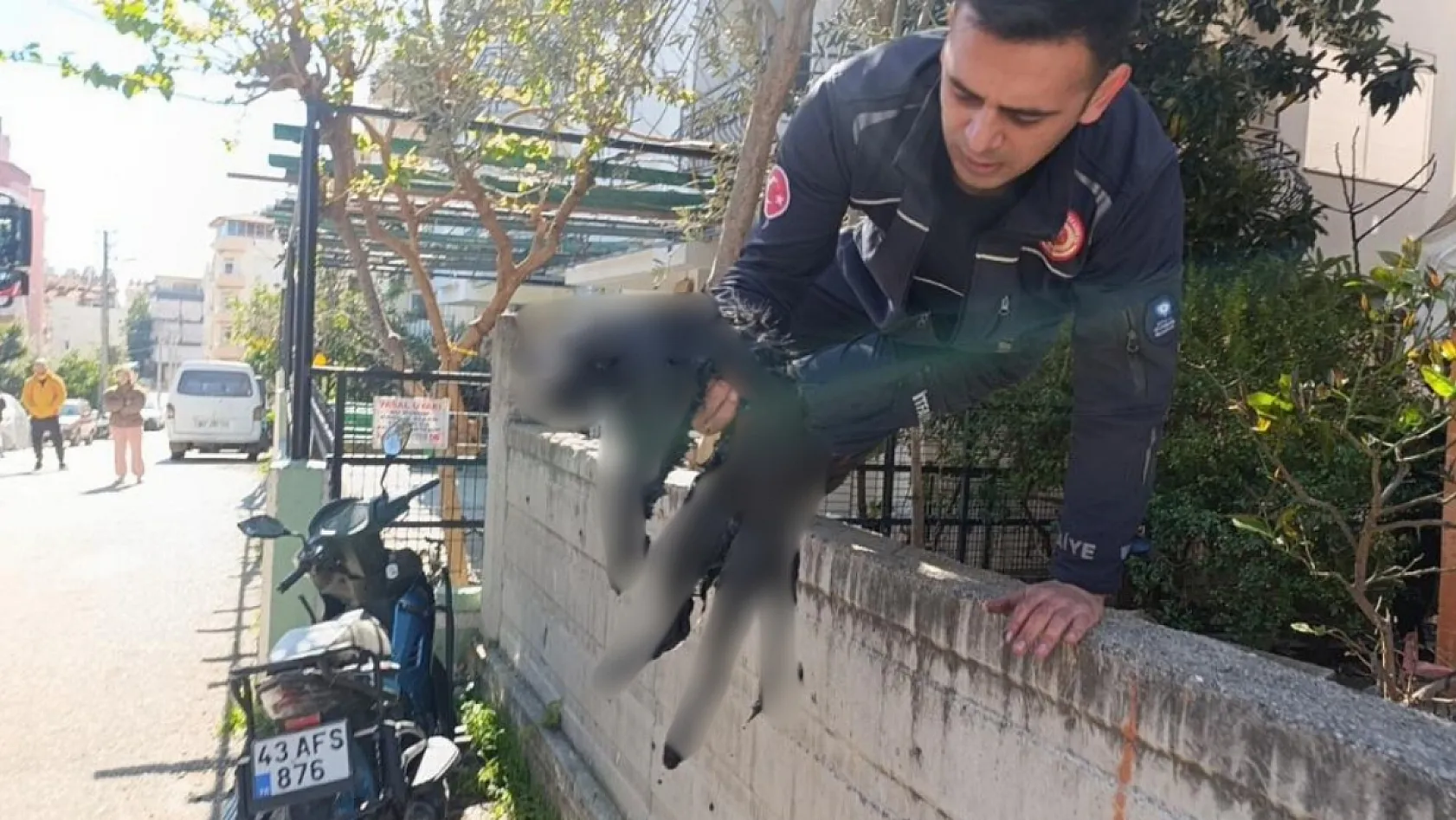 Ev yangınında 2 kişi çatıdan kurtarıldı, yanan kedilere oksijen maskesiyle müdahale edildi
