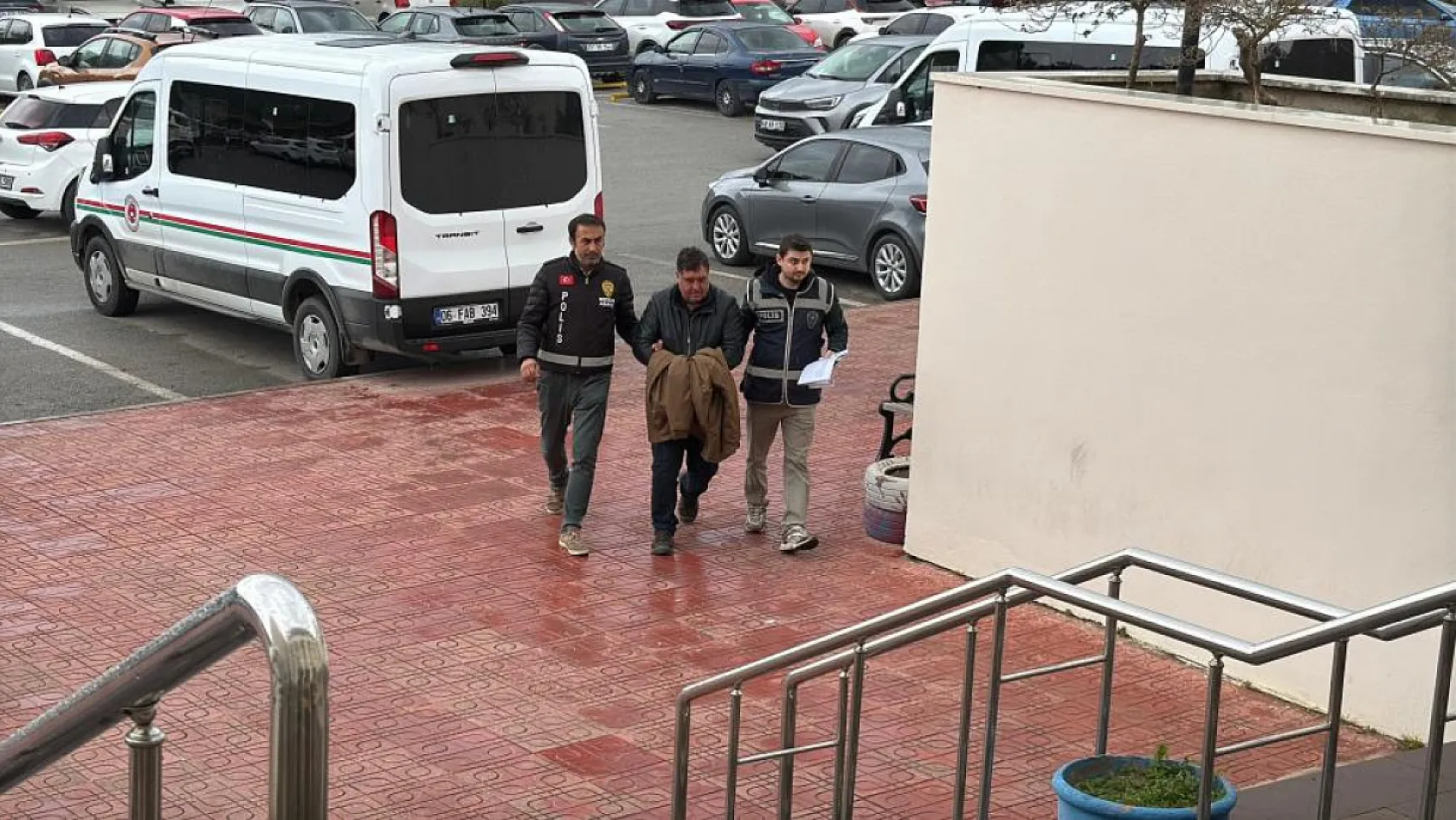 Bodrum'da feci ölüm! Ağaç budarken hayatını kaybetti