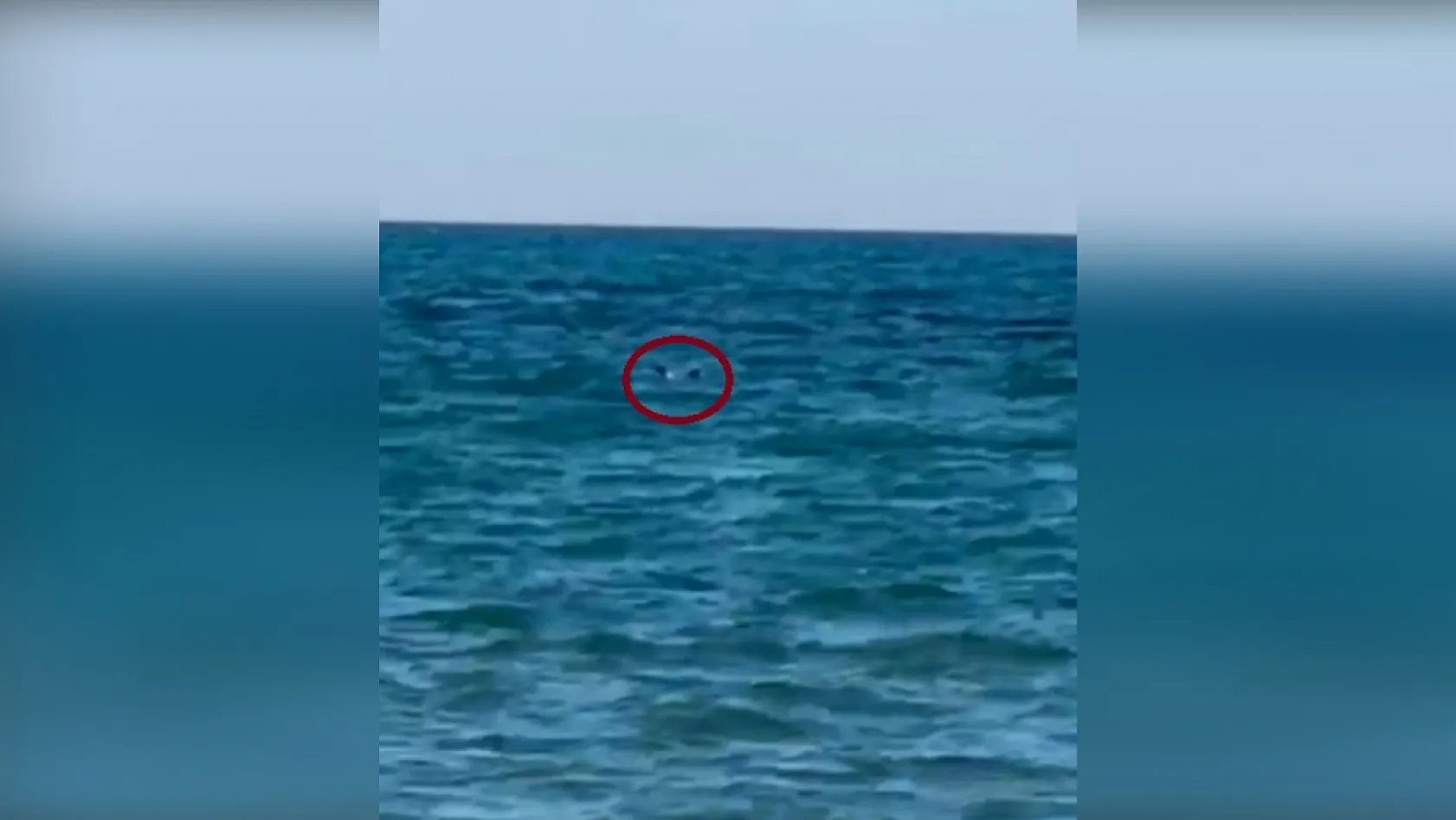 Zıpkınla balık avlarken boğuldu