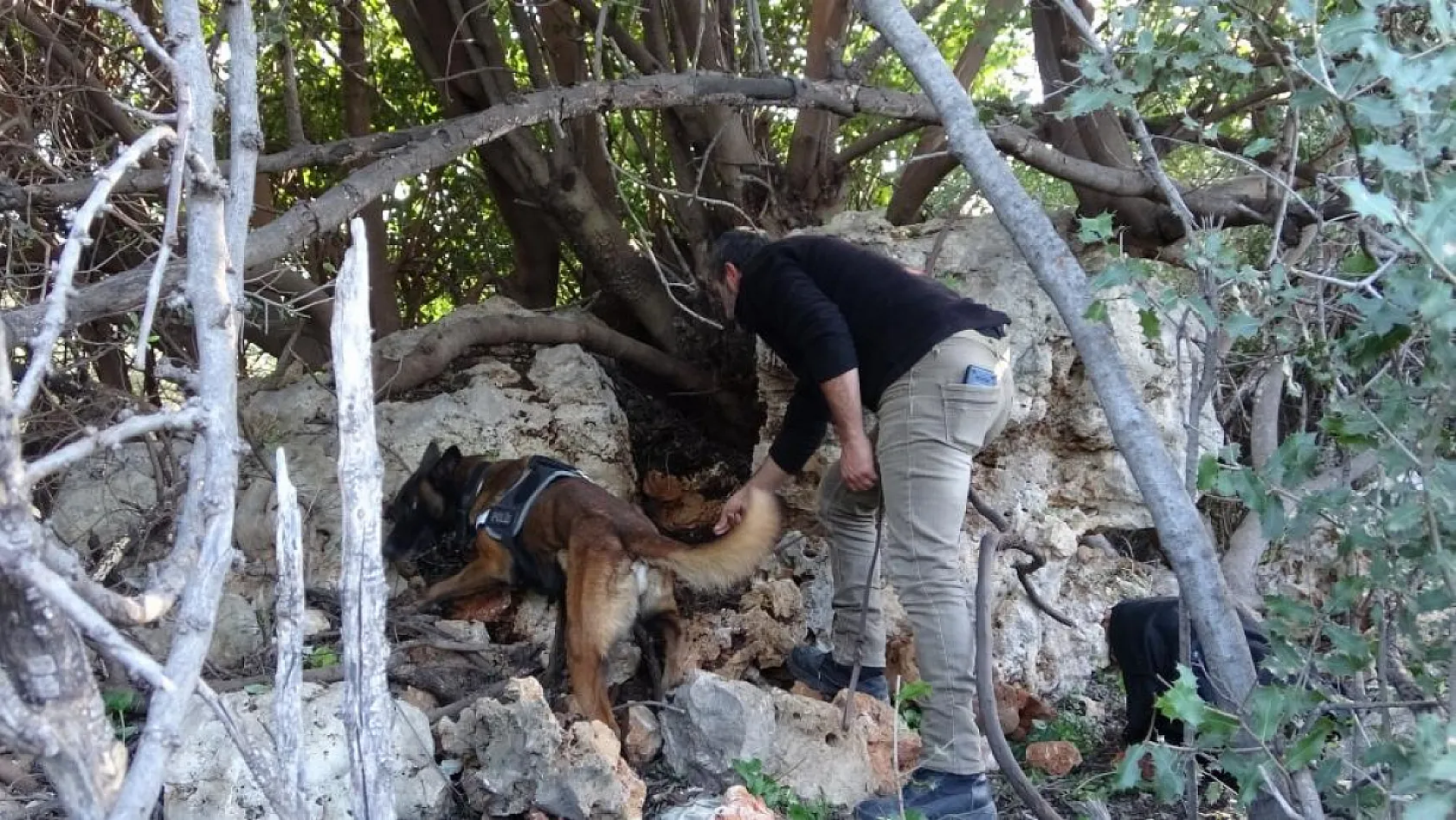 Kayıp gencin cesedi aranıyor! Sonuçlar şok edici